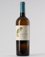 Camaleão Sauvignon 2021 White 0.75